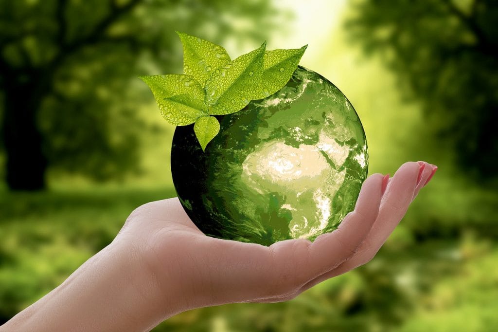 greenwasing